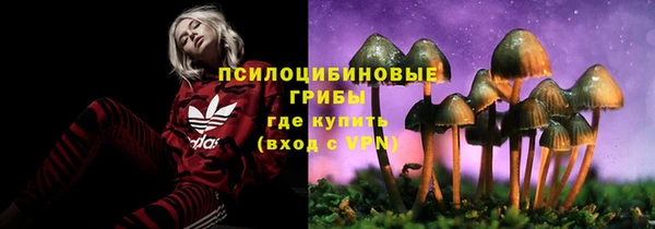 ешки Алексин
