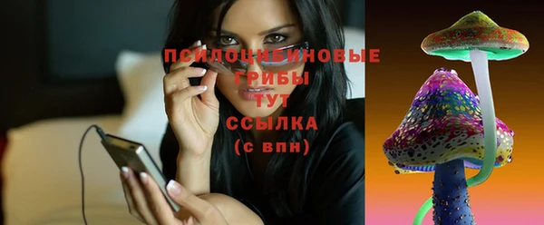 ешки Алексин