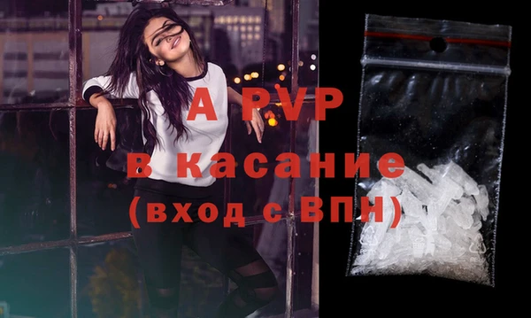 ешки Алексин