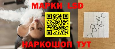 гидра Будённовск