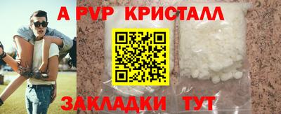 гидра Будённовск