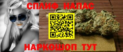 гидра Будённовск