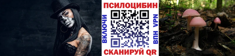 где купить наркоту  Архангельск  сайты даркнета состав  Псилоцибиновые грибы мухоморы 